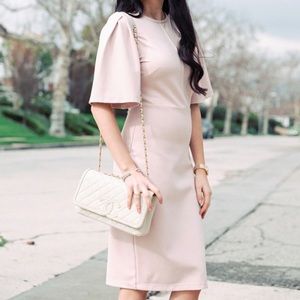 Rachel Parcell Blush Flutter Sleeve Dress